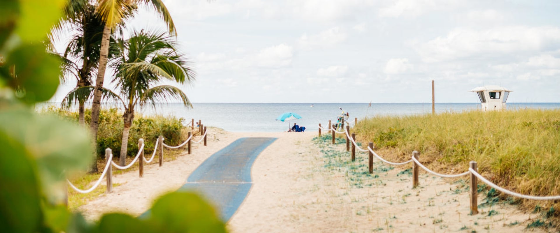 Exploring the Heart of Florida's Gold Coast Fascinating Facts about